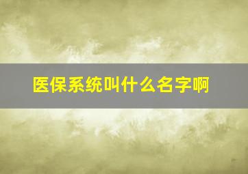 医保系统叫什么名字啊