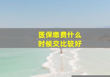 医保缴费什么时候交比较好