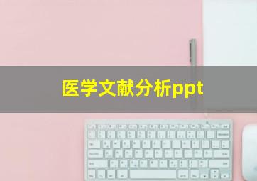 医学文献分析ppt