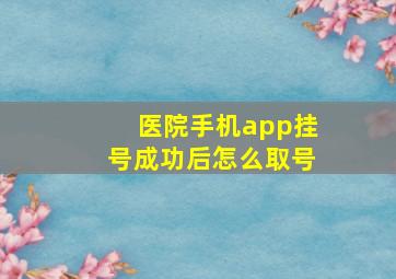 医院手机app挂号成功后怎么取号