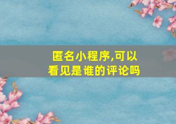 匿名小程序,可以看见是谁的评论吗