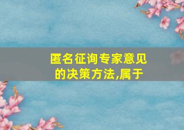 匿名征询专家意见的决策方法,属于