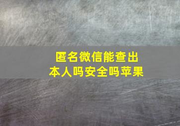 匿名微信能查出本人吗安全吗苹果