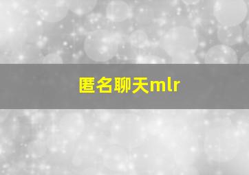 匿名聊天mlr