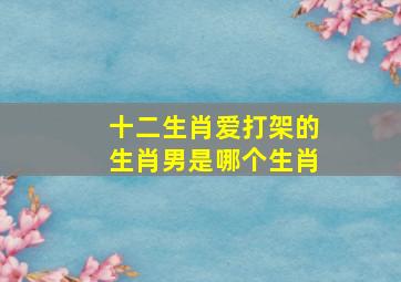 十二生肖爱打架的生肖男是哪个生肖