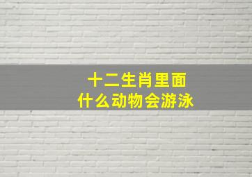 十二生肖里面什么动物会游泳