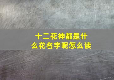 十二花神都是什么花名字呢怎么读