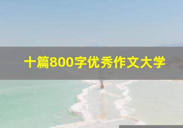 十篇800字优秀作文大学