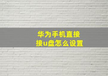 华为手机直接接u盘怎么设置