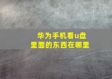 华为手机看u盘里面的东西在哪里