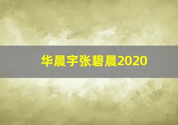 华晨宇张碧晨2020