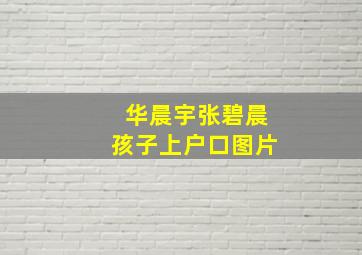 华晨宇张碧晨孩子上户口图片