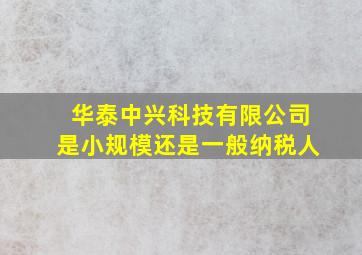 华泰中兴科技有限公司是小规模还是一般纳税人