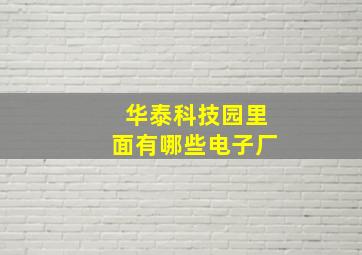 华泰科技园里面有哪些电子厂