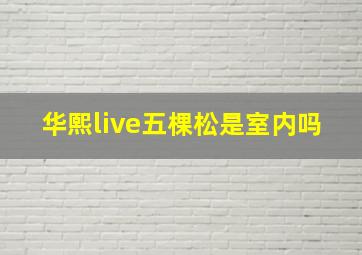 华熙live五棵松是室内吗