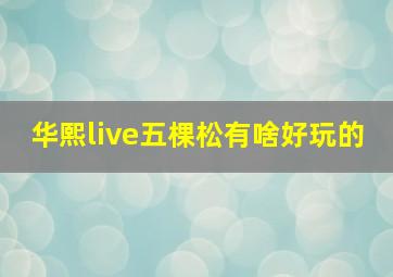 华熙live五棵松有啥好玩的