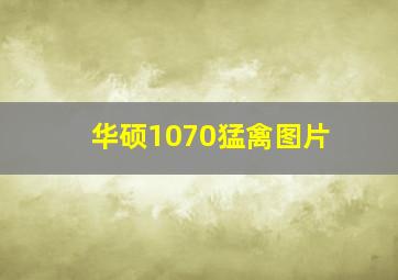 华硕1070猛禽图片