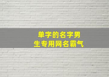 单字的名字男生专用网名霸气