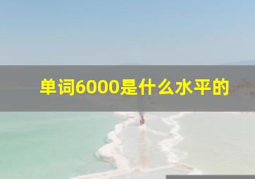 单词6000是什么水平的