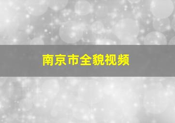 南京市全貌视频