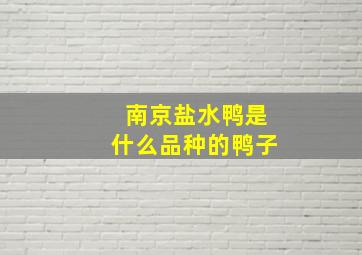 南京盐水鸭是什么品种的鸭子