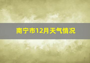 南宁市12月天气情况