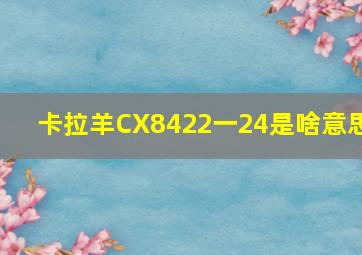 卡拉羊CX8422一24是啥意思