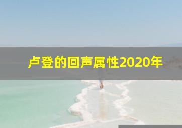 卢登的回声属性2020年