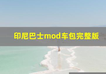 印尼巴士mod车包完整版