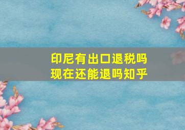 印尼有出口退税吗现在还能退吗知乎