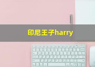 印尼王子harry