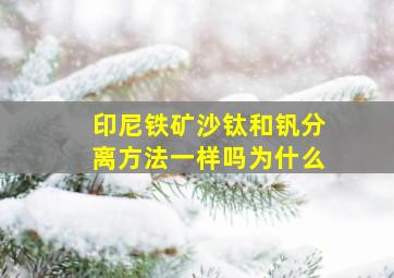 印尼铁矿沙钛和钒分离方法一样吗为什么