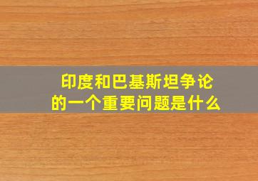 印度和巴基斯坦争论的一个重要问题是什么