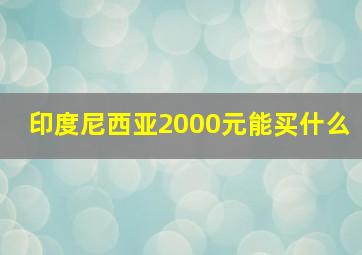 印度尼西亚2000元能买什么