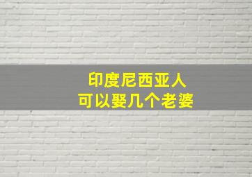 印度尼西亚人可以娶几个老婆