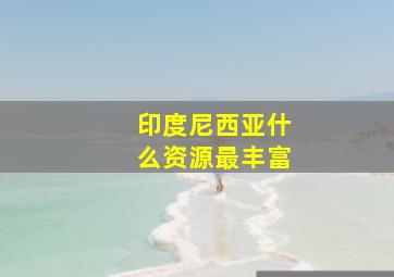 印度尼西亚什么资源最丰富