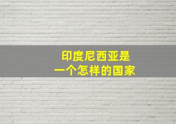 印度尼西亚是一个怎样的国家