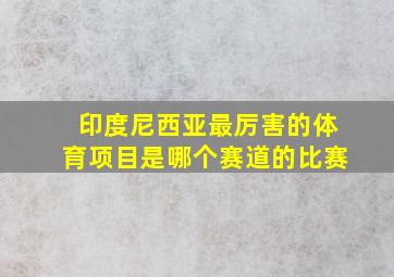 印度尼西亚最厉害的体育项目是哪个赛道的比赛