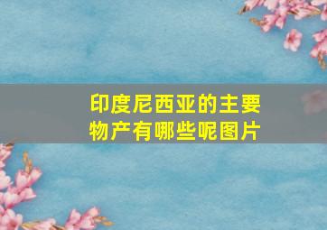 印度尼西亚的主要物产有哪些呢图片