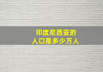 印度尼西亚的人口是多少万人