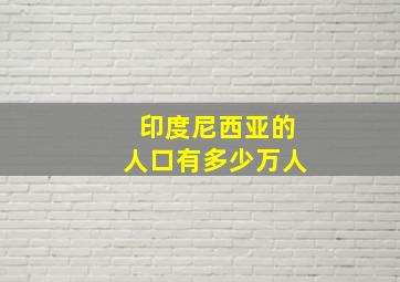 印度尼西亚的人口有多少万人