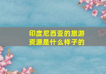 印度尼西亚的旅游资源是什么样子的