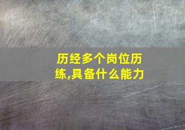 历经多个岗位历练,具备什么能力