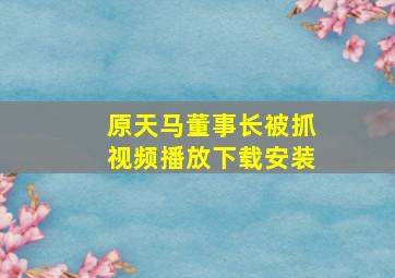 原天马董事长被抓视频播放下载安装