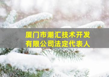 厦门市潮汇技术开发有限公司法定代表人