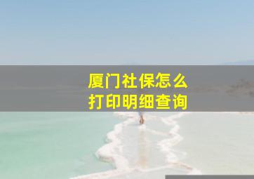 厦门社保怎么打印明细查询