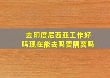 去印度尼西亚工作好吗现在能去吗要隔离吗