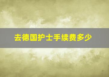 去德国护士手续费多少