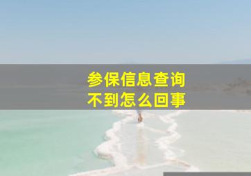 参保信息查询不到怎么回事