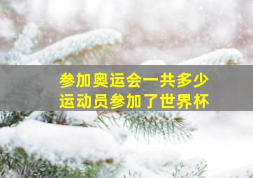 参加奥运会一共多少运动员参加了世界杯